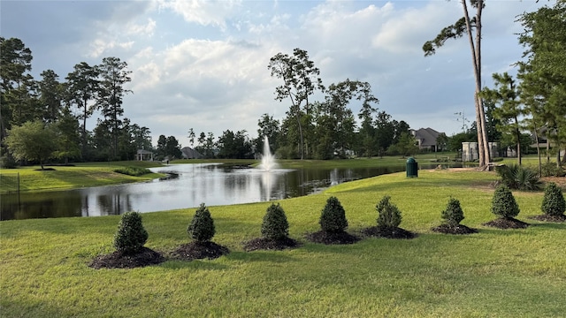 13909 Payette Arbor Ct, Conroe, TX 77384 - surrounding community with a water view and a yard