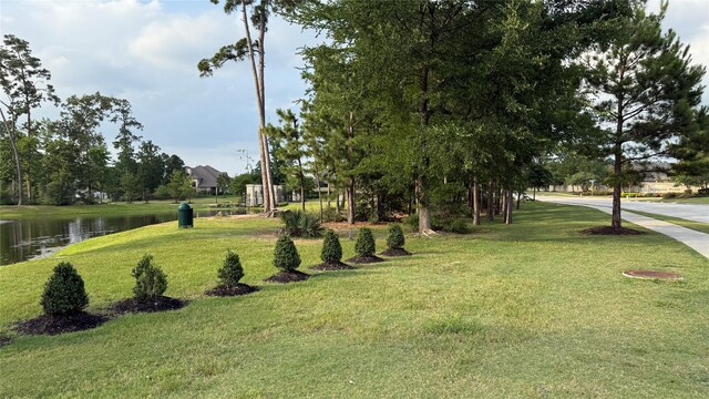 13909 Payette Arbor Ct, Conroe, TX 77384 - photo 40
