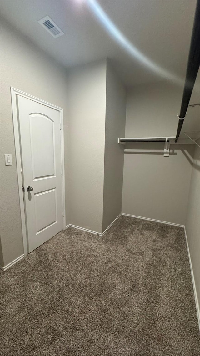 13909 Payette Arbor Ct, Conroe, TX 77384 - spacious closet with carpet flooring
