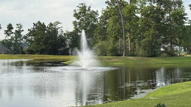 13909 Payette Arbor Ct, Conroe, TX 77384 - water view