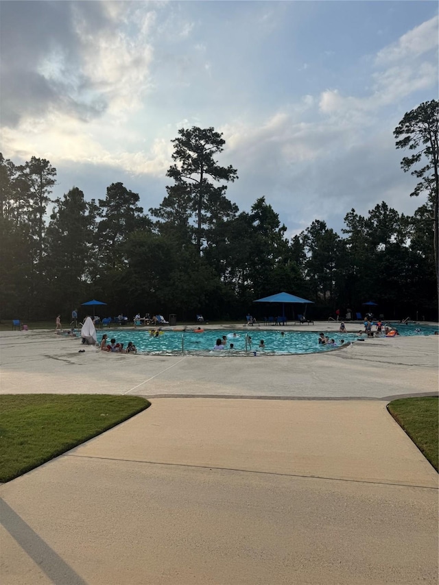 13909 Payette Arbor Ct, Conroe, TX 77384 - community pool with a patio