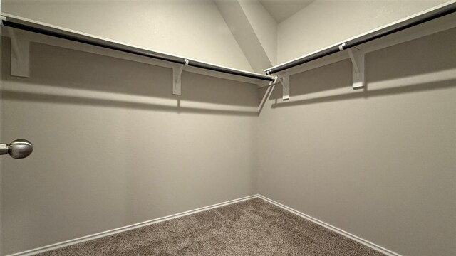 13909 Payette Arbor Ct, Conroe, TX 77384 - photo 34