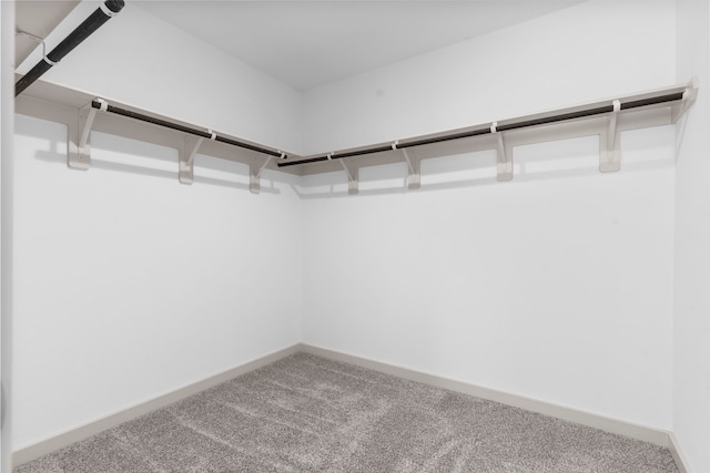 7414 Keystone Blossom Trl, Richmond, TX 77407 - walk in closet with carpet