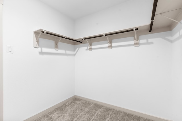 7414 Keystone Blossom Trl, Richmond, TX 77407 - spacious closet featuring carpet
