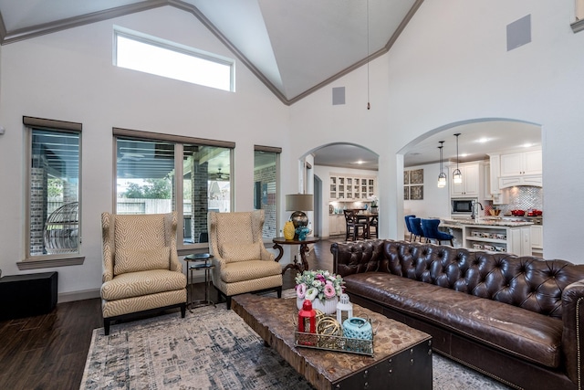 18815 Ellis Bend Dr, Cypress, TX 77433 - living room with arched walkways, ornamental molding, wood finished floors, baseboards, and high vaulted ceiling