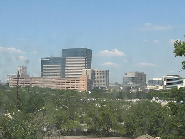 2207 S Braeswood Blvd S Unit 43B, Houston, TX 77030 - view of city
