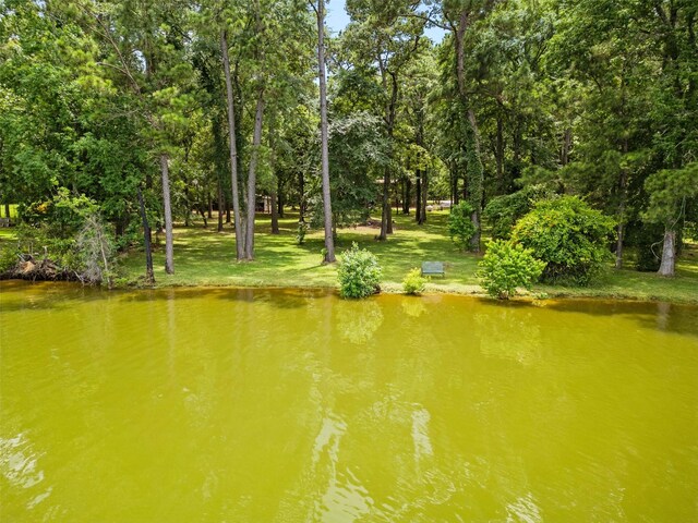 19314 Indigo Lake Dr, Magnolia, TX 77355 - view of community featuring view of scattered trees