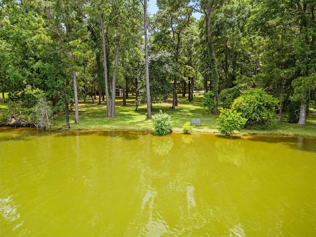 19314 Indigo Lake Dr, Magnolia, TX 77355 - view of community featuring view of scattered trees