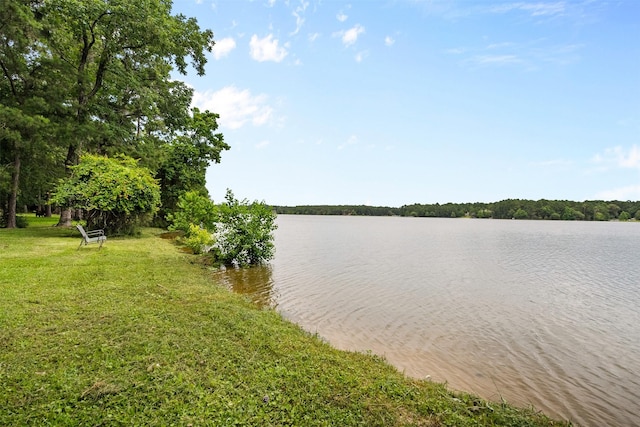 19314 Indigo Lake Dr, Magnolia, TX 77355 - water view