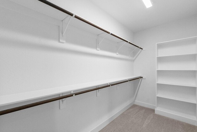 12219 Browning Dr, Montgomery, TX 77356 - spacious closet with light carpet