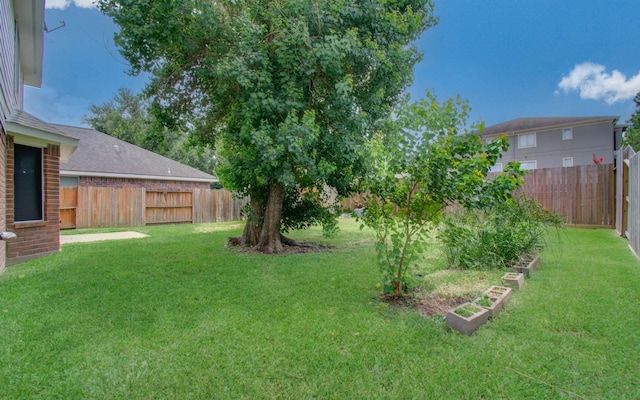 5238 Timber Quail Dr, Humble, TX 77346 - view of yard