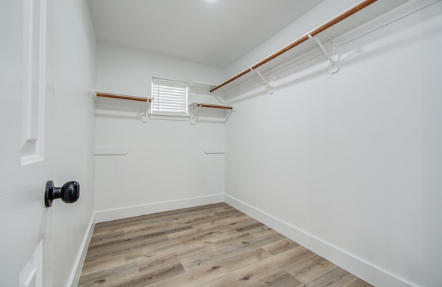 5238 Timber Quail Dr, Humble, TX 77346 - walk in closet with light wood-style floors