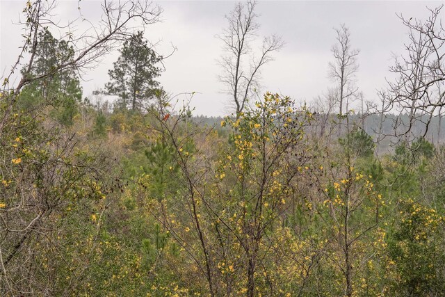 00 County Road 2052, Newton, TX 75966 - photo 7
