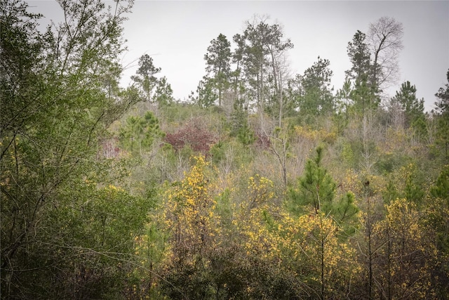 00 County Road 2052, Newton, TX 75966 - photo 4