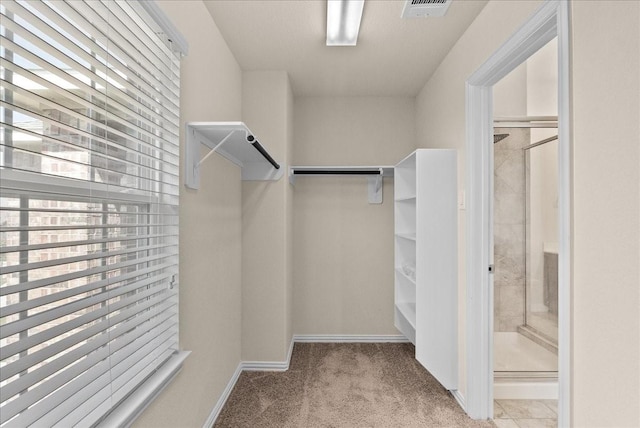 2114 Sand Ridge Dr, Texas City, TX 77568 - spacious closet with carpet floors