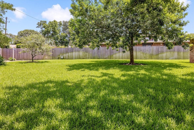 2510 Cypress Dr, Galveston, TX 77551 - view of yard