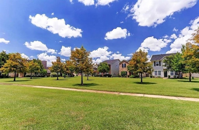 1609 Palcio Real Dr, Houston, TX 77047 - surrounding community with a lawn