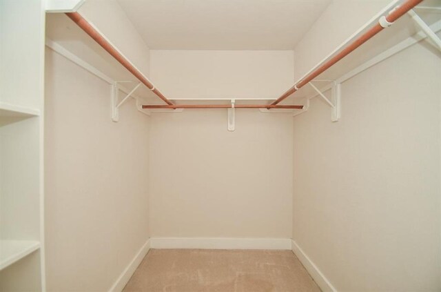 1609 Palcio Real Dr, Houston, TX 77047 - walk in closet with light colored carpet