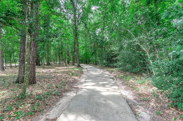 21388 Timber Lodge Ln, Porter, TX 77365 - photo 48