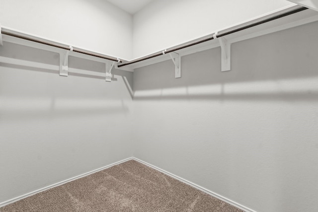 3713 Shady Elk Ct, Conroe, TX 77301 - spacious closet featuring carpet