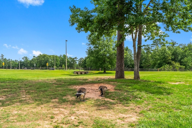 3713 Shady Elk Ct, Conroe, TX 77301 - surrounding community featuring a rural view