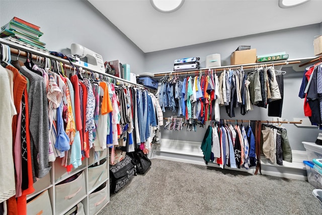 12010 Piney Bend Dr, Tomball, TX 77375 - spacious closet featuring carpet