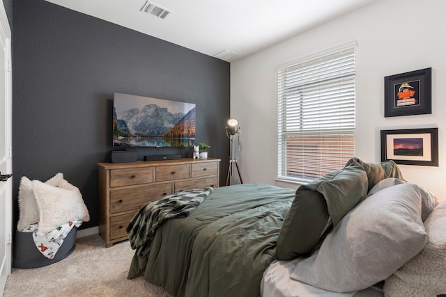 221 Sky Top Dr, Montgomery, TX 77316 - bedroom with light colored carpet