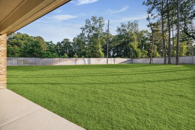 40805 Iver Ln, Magnolia, TX 77354 - photo 40
