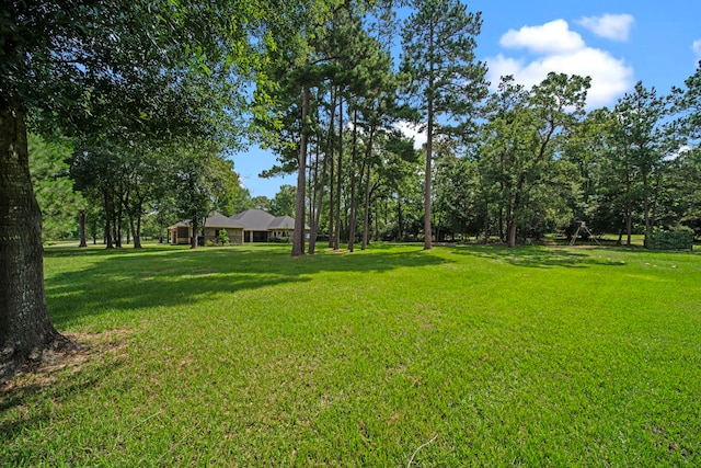 261 Ridge Lake Dr, Montgomery, TX 77316 - view of grassy yard