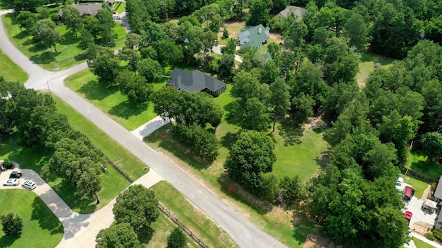 261 Ridge Lake Dr, Montgomery, TX 77316 - view of property location