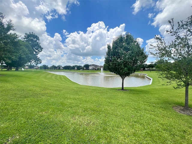 2207 Desert Vine Ct, Sugar Land, TX 77498