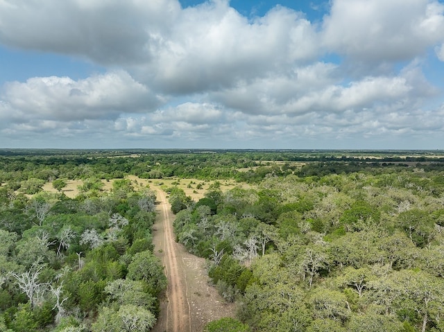 TBD County Road 132, Hallettsville, TX 77964