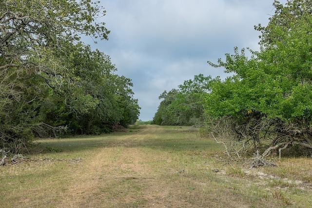 TBD County Road 132, Hallettsville, TX 77964