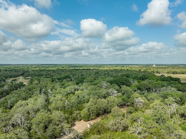 TBD County Road 132, Hallettsville, TX 77964