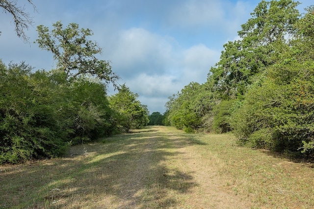 TBD County Road 132, Hallettsville, TX 77964