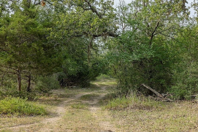 TBD County Road 132, Hallettsville, TX 77964
