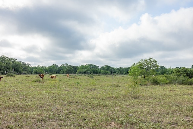 TBD County Road 132, Hallettsville, TX 77964