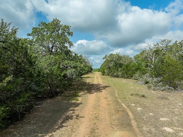 TBD County Road 132, Hallettsville, TX 77964