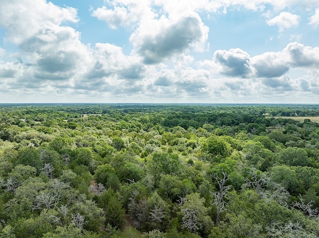 TBD County Road 132, Hallettsville, TX 77964