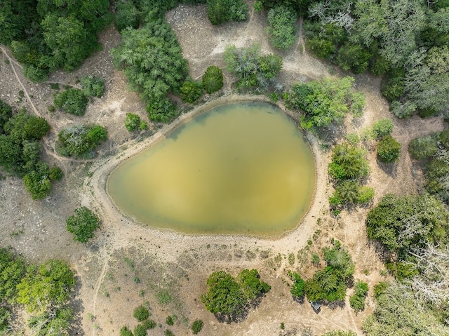 TBD County Road 132, Hallettsville, TX 77964