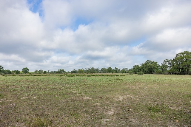 TBD County Road 132, Hallettsville, TX 77964