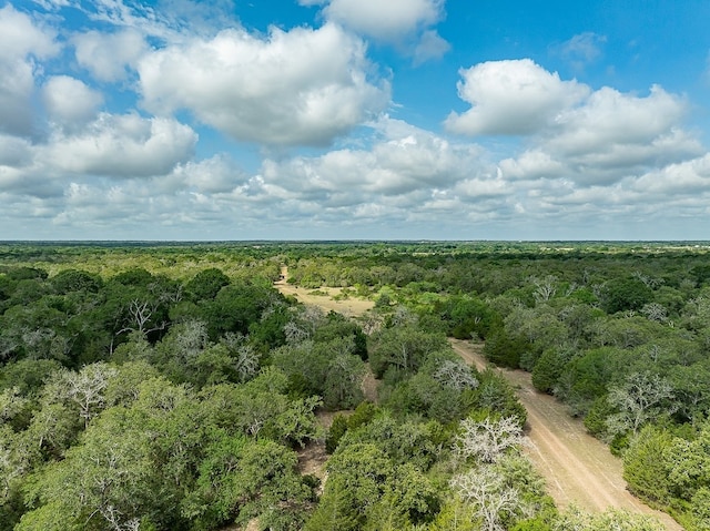 TBD County Road 132, Hallettsville, TX 77964