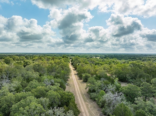 TBD County Road 132, Hallettsville, TX 77964