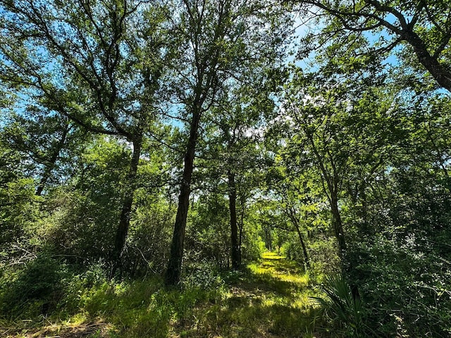 4888 Baldwin Dr, Hungerford, TX 77448 - photo 4