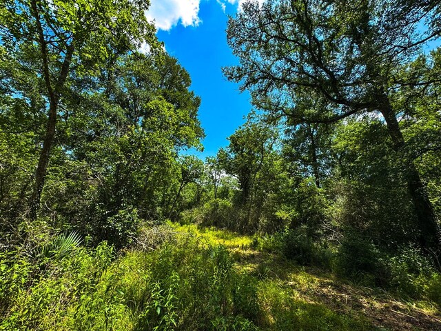 4888 Baldwin Dr, Hungerford, TX 77448 - photo 5