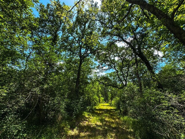 4888 Baldwin Dr, Hungerford, TX 77448 - photo 6