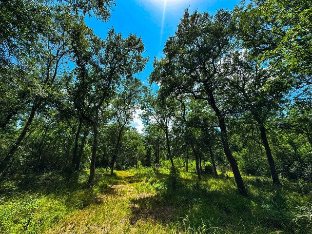 4888 Baldwin Dr, Hungerford, TX 77448 - photo 7