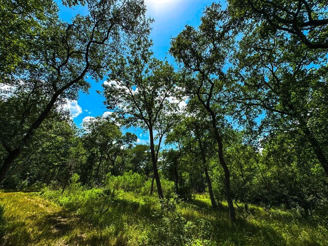 4888 Baldwin Dr, Hungerford, TX 77448 - photo 8