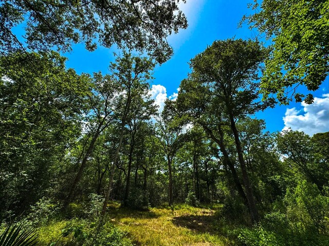 4888 Baldwin Dr, Hungerford, TX 77448 - photo 9
