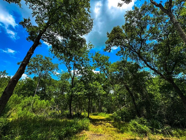 4888 Baldwin Dr, Hungerford, TX 77448 - photo 10